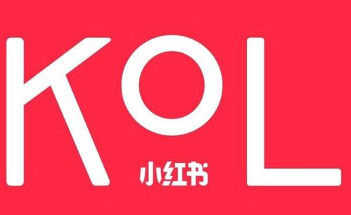 蕓眾科技 借力小紅書KOL達人，打造產品推廣種草與測評新范式